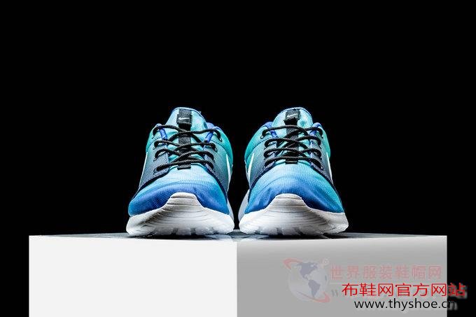 ЬRoshe OneʱϮ