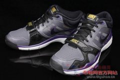 Nike&nbsp;2010ﶬȫɫAir&nbsp;Trainer&nbsp;1.